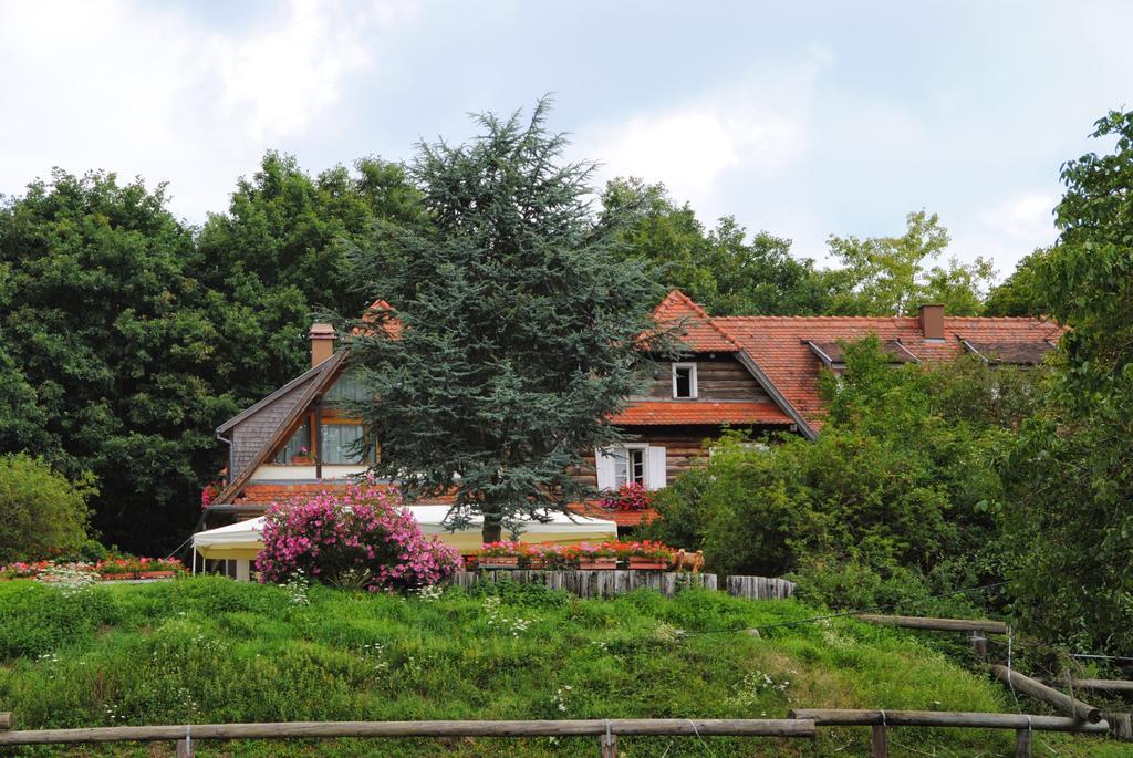 Le Neufeld Bed and Breakfast Oberhaslach Exterior foto