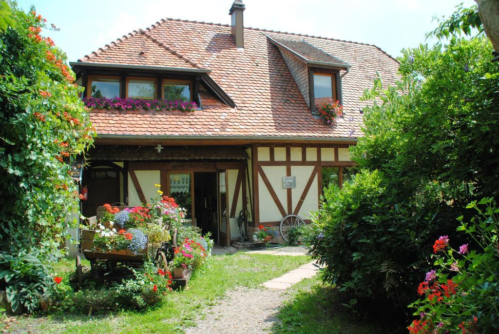 Le Neufeld Bed and Breakfast Oberhaslach Exterior foto