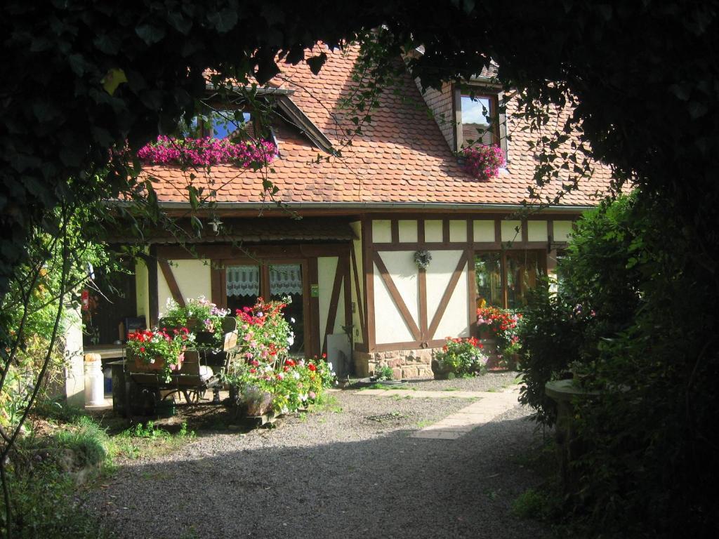 Le Neufeld Bed and Breakfast Oberhaslach Exterior foto