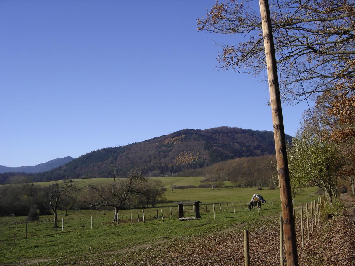 Le Neufeld Bed and Breakfast Oberhaslach Exterior foto